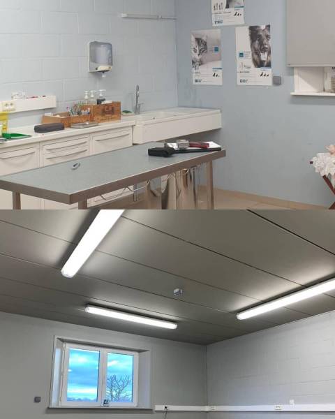 Peinture local professionnel