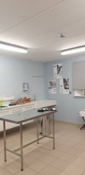 Peinture local professionnel