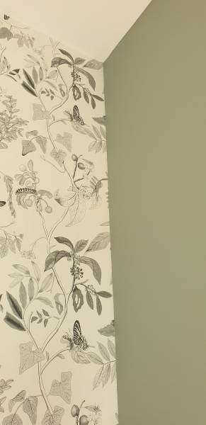 PAPIER PEINT RACCORDS ET UNIS