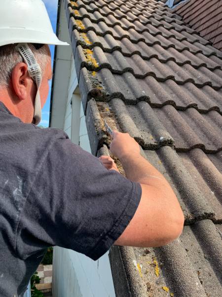 Entreprise de démoussage de toiture à Manneville Es Plains, proche de Dieppe, en Normandie