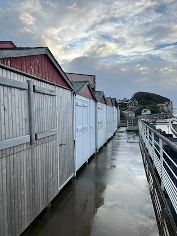 PLAGE VEULES LES ROSES